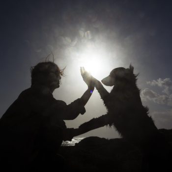 dog-trainer-interacting-with-their-pet